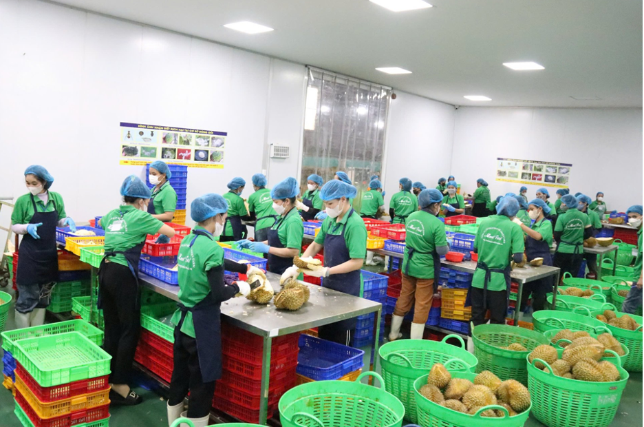 Promote exports and expand markets for Vietnamese agricultural products
